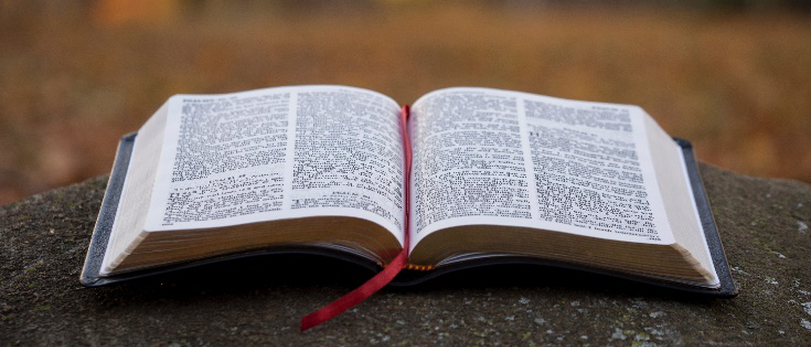 Doctrinal Statement